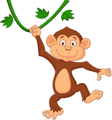 Best Monkey Hanging From Tree Illustrations Royalty Free Vector