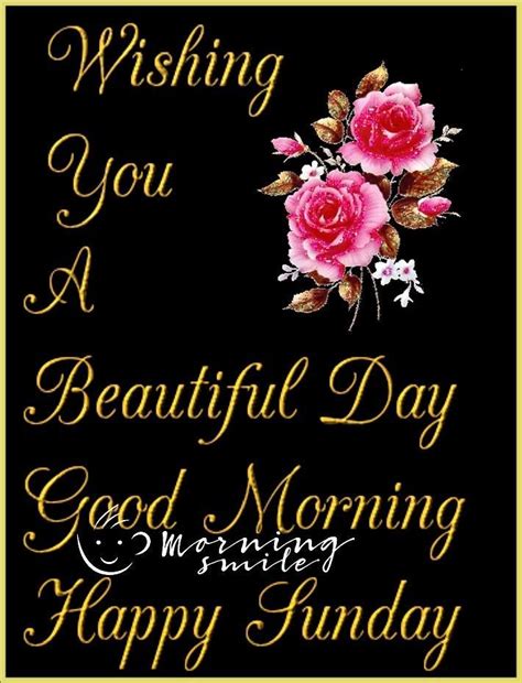 Beautiful Wish For A Happy Sunday Morning Good Morning Sunday Images