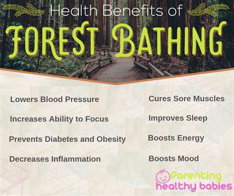 11 Surprising Benefits Of Forest Bathing And How It Can Impact Your Health