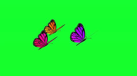 Butterflies Flying Animation And Green Screen Effects Youtube
