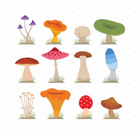 Mushrooms Vector Set Pre Designed Illustrator Graphics ~ Creative Market