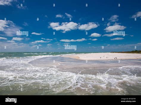 Sand Beach With Birds On The Southern Tip Of Egmont Key State Park In The Gulf Of Mexico On The