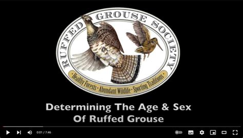 Grouse Facts Rgs