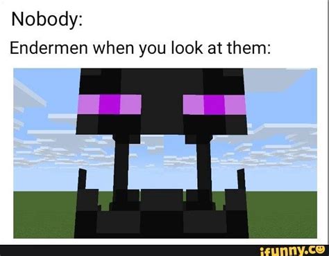 Nobody Endermen When You Look At Them Minecraft Memes Very