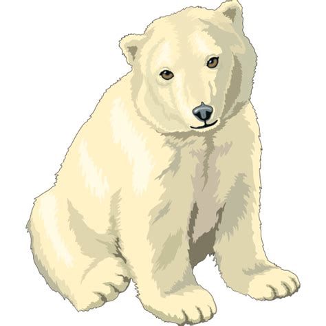 Sitting Polar Bear Cub Png Svg Clip Art For Web Download Clip Art