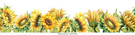 22765 Sunflower Banner Images Stock Photos And Vectors Shutterstock