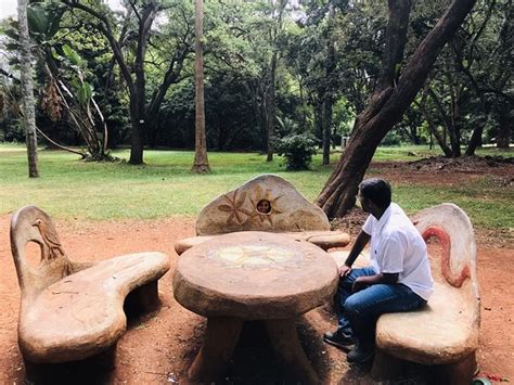 Nairobi Arboretum 2019 What To Know Before You Go With Photos