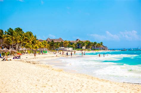 ¿cómo Ir De Cancún A Playa Del Carmen