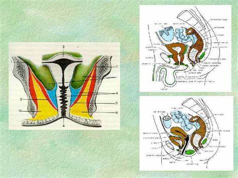 Диета при ранениях
