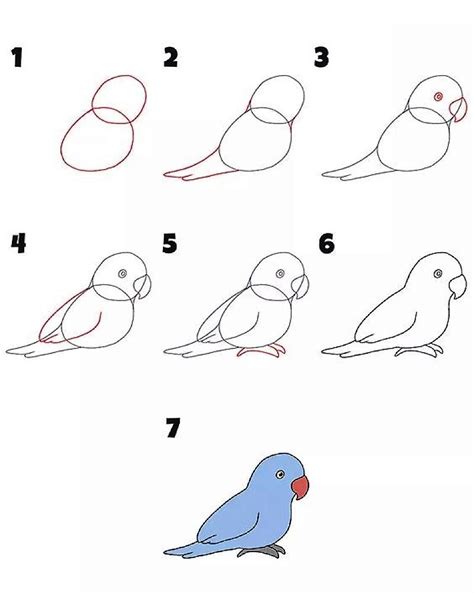 How To Draw A Simple Parrot Step By Step Drawing Photos