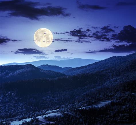 Forest Night Moon Clouds 4k Hd Nature 4k Wallpapers Images