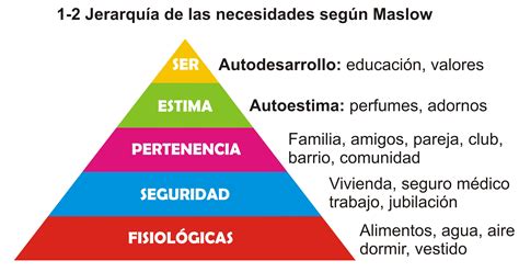 Piramide De Necesidades Según Maslow Con Amor Publicidad Diseño Y