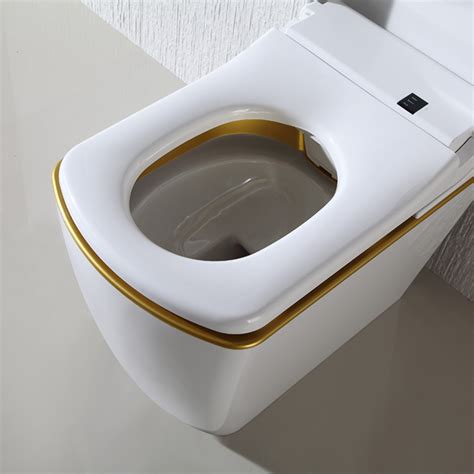 Bidetry Sx Bidet Smart Toilet Suite One Piece Toilet