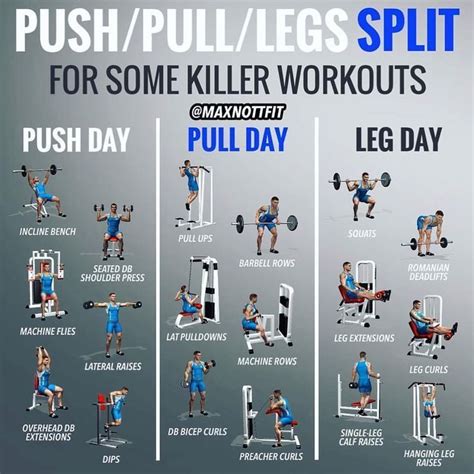 Push Pull Legs Weight Training Workout Schedule For Days GymGuider Com Push Pull Legs