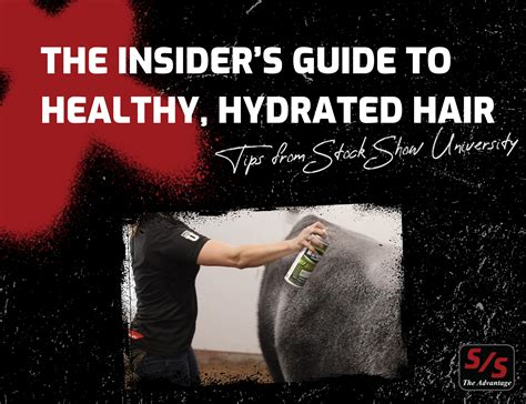 The Insider’s Guide to Healthy, Hydrated Hair | Tips From Stock Show