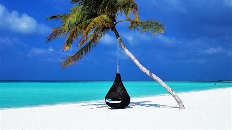 Download Wallpaper 3840x2160 Maldives Islands Palm Tree Travel 4k