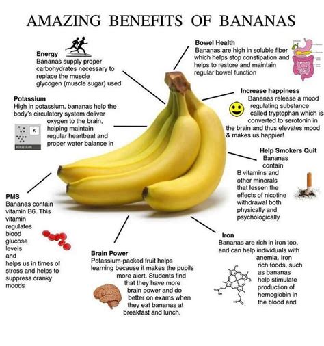 Banana Health Benefits Banana Benefits Nutrition