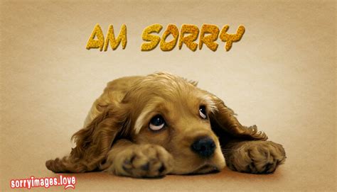 Sorry Dog Images