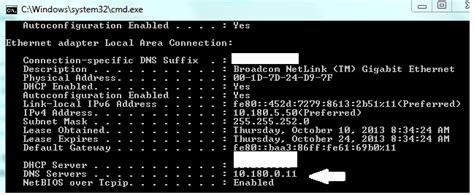 How To Find Out What Dns Server Is Configured On Your Machine Linux