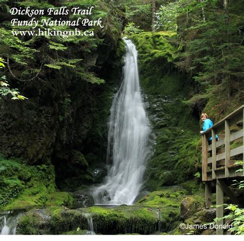 Hiking Nb Trail Fundy National Park Hiking Trail Maps Trail