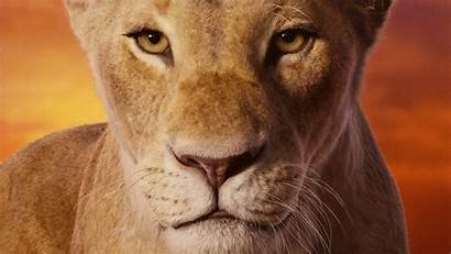 Lion King 4k Nala Beyonce Wallpapers Movies