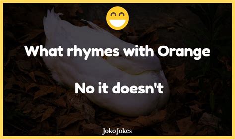 184 Orange Jokes And Funny Puns Jokojokes