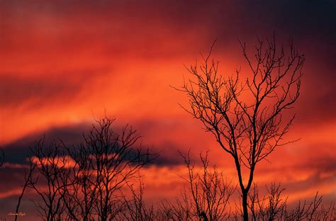 Winter Sunset In Texas Photograph By Karen Slagle Fine Art America