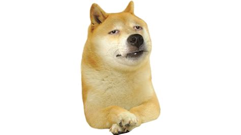 High Doge Remake Rdogelore Ironic Doge Memes Know Your Meme