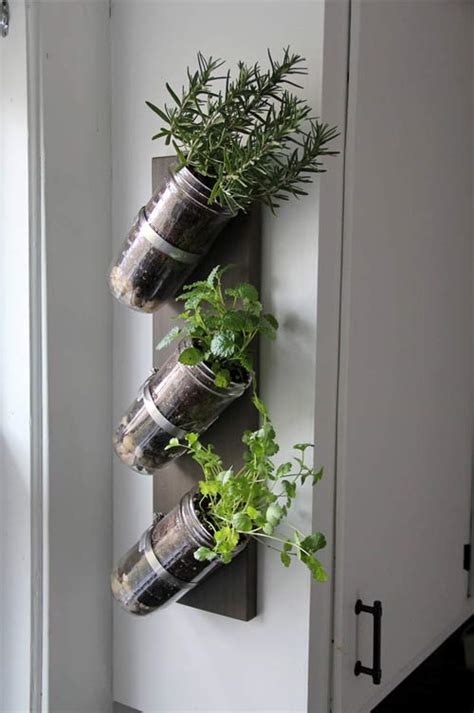 31 Indoor Gardening Ideas For Small Apartments Tiny Partments