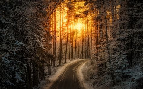 Nature Landscape Sunrise Sunlight Road Winter Forest