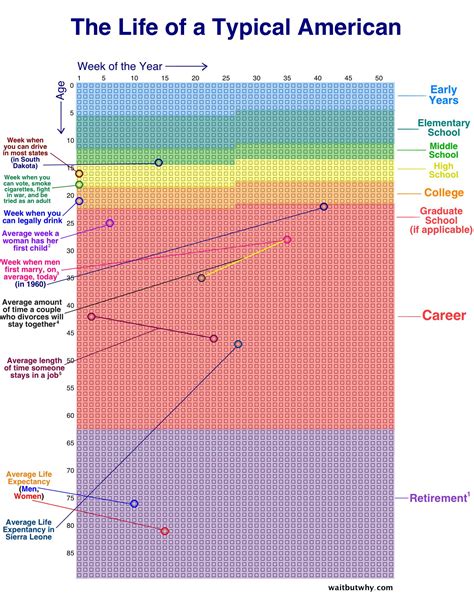 Tu Vida Graficada En Semanas Belelú