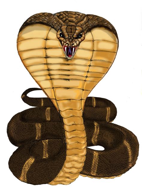 Cobra Snake Png Images Free Download