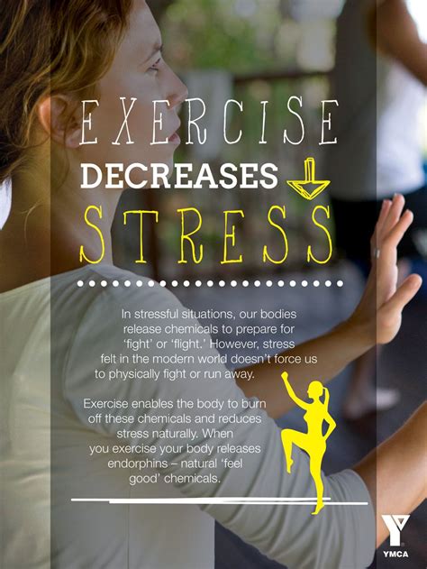 Did You Know That Exercise Decreases Stress We Can Help You Chill Out