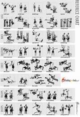 Free Workout Exercises Photos