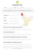 Arbeitsblatt Steckbrief Huhn