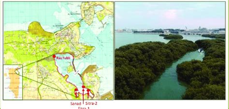 Left Location Of Tubli Bay Right Mangrove Stands On The East Coast
