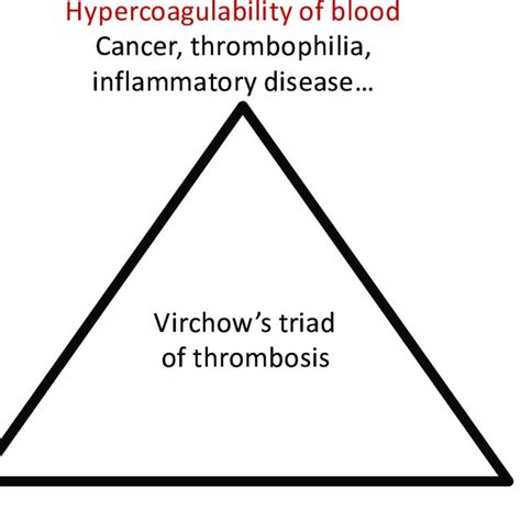 3 The Virchows Triad Of Risk Factors For Venous Thrombosis