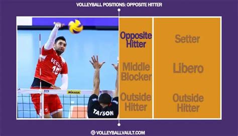 Volleyball Positions 101 Player Roles Explained In 2024