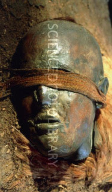Bog Head Mummified Head Of A Windeby Girl Ancient Artefacts Bog