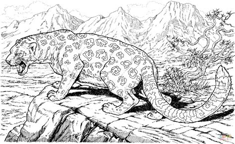 Snow Leopard Coloring Page Coloring Home
