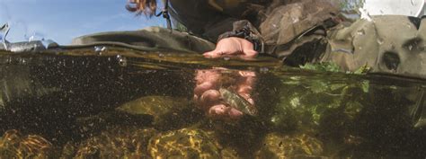 A Salmon Scientist On Protecting Streams Magazine Articles Wwf