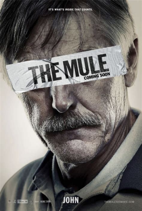 Has photos of sharp and viejo, one of the senior leaders of the detroit ring, vacationing together in hawaii. The Mule DVD Release Date | Redbox, Netflix, iTunes, Amazon