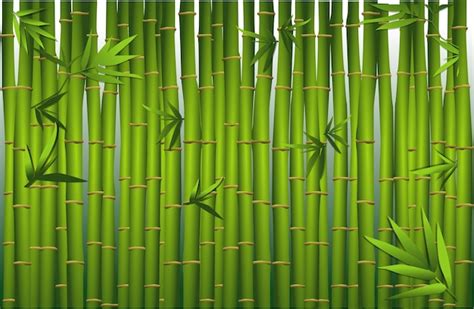 Premium Vector Bamboo Grass Oriental Wallpaper Green Natural