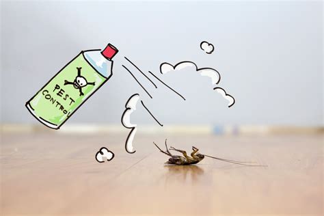 Tips To Getting Proper Bed Bug Fumigation Services Bedbug Fumigators