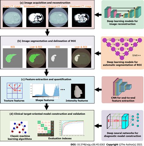 Deep Learning Based Radiomics For Gastrointestinal Cancer Diagnosis And