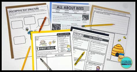 Bee Reading Comprehension Activities For 2nd 3rd And 4th Grade