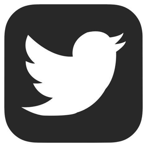 Download High Quality White Twitter Logo Gray Transparent Png Images