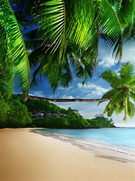 Coast Paradise Tropical Sea Sky Wallpaper 1536x2048
