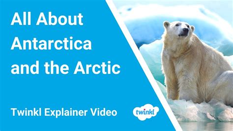 Antarctica Vs Arctic Whats The Difference Between Antarctica And