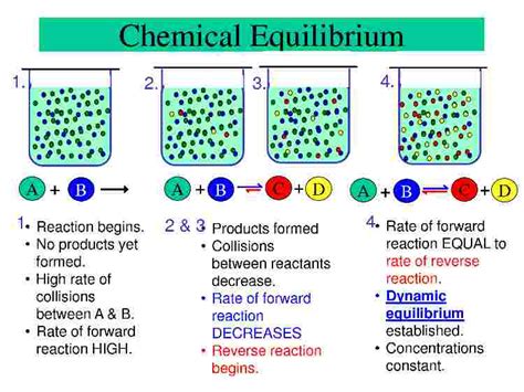 Chemical Equilibrium Dynamic Equilibrium In Chemistry